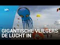Vliegende teddyberen en 35 meter lange octopussen bij Vliegerfeest