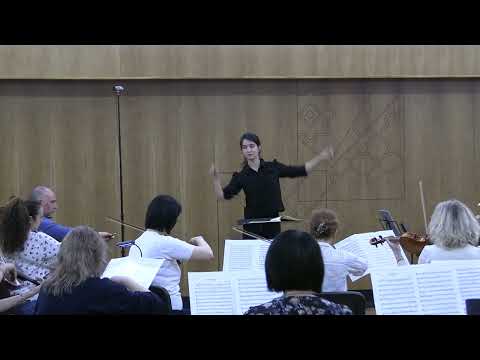 Beethoven — Symphonie n°5, mvt. 1 (direction, extrait)