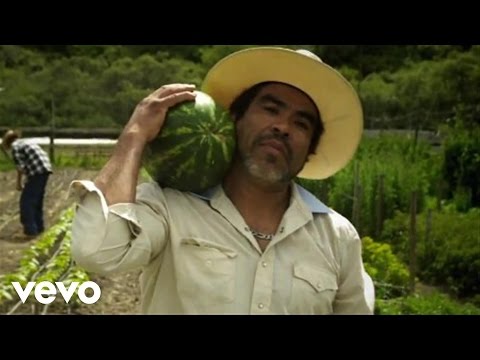 D.Willz - Watermelon