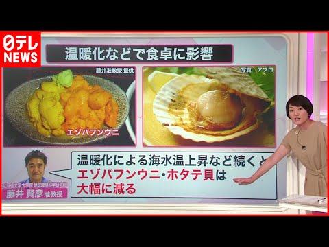 「専門家も驚いている」:気象学者が記録的な猛暑に警告