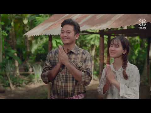 ជំងឺដុំពកស្បែក៖ វិធីការពារ និងទប់ទល់ការរីករាលដាល (ភាគខ្លី) Lumpy skin disease: how to protect farmers and stop the spread (Short version)