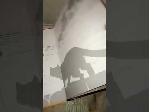 Dylan Dog n.7. La zona del crepuscolo. Collezione Book