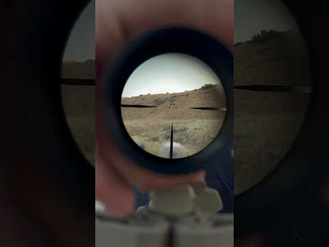 Brownells - Burris AR-332 Prism Sight