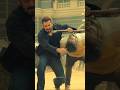 Sikandar Action Scenes Review High Octane Or Overhyped Salman Khan Rashmika Mandana