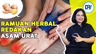 Download lagu Cara Ampuh Redakan Asam Urat Dengan Bahan Alami mp3
