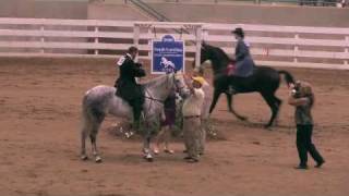 preview picture of video 'South Carolina Championship 2010 Lite Shod English'