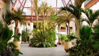 Grupo Vidanta
