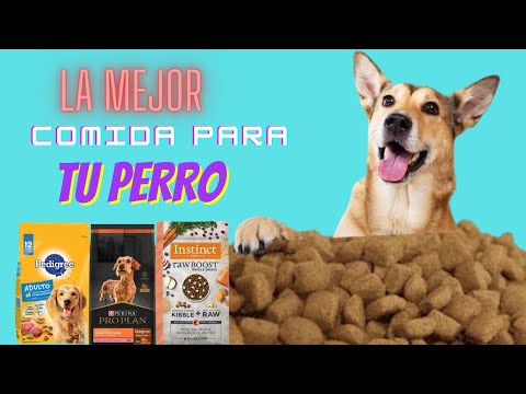 Esta es la clave para comprar alimento de calidad para TU PERRO!!