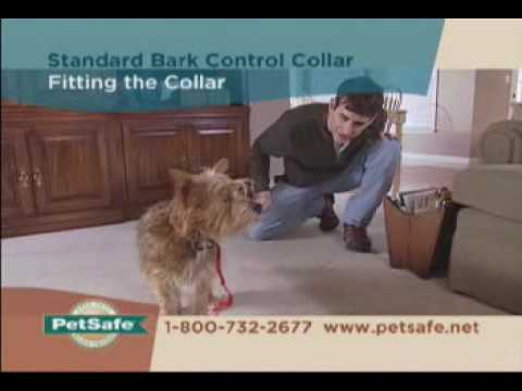 PetSafe Bark Control Collar antkaklis nuo lojimo/kaukimo su 6 lygių impulsu šunims video