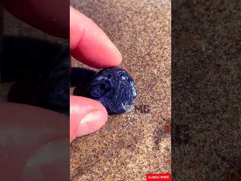 wow 😯 Find Agate at the beach #agate #gemstone