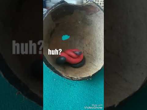 The worm ep. 1 , sezon 2 Revenge