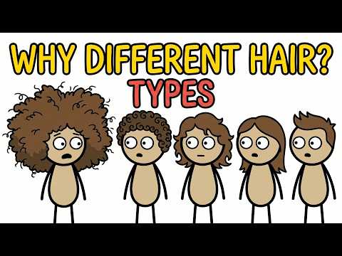 Why Do Humans Have Different Hair Types?