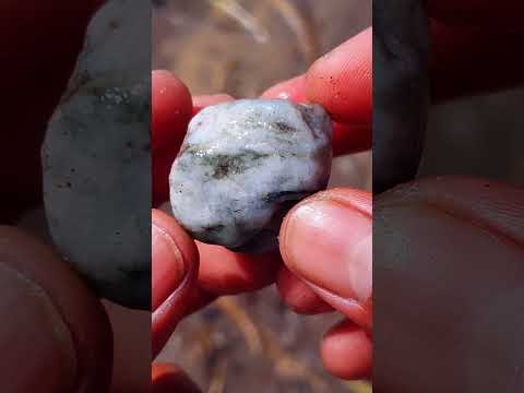 Increíble! lo que se puede encontrar entre las piedras de mar #piedraspreciosas