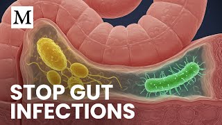Protect Your Gut from Opportunistic Microbes | Mercola Cellular Wisdom
