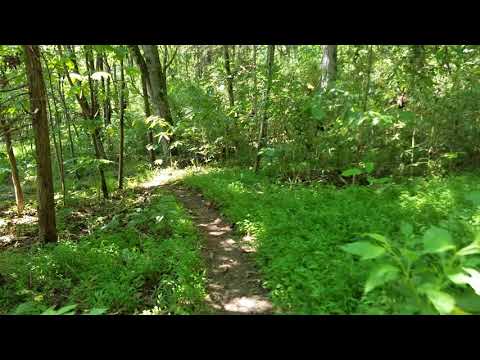 Hiking on the Bearwaller Gap Trail