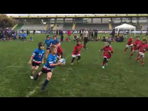 Rugby Ricany - U8 Viadana 2017