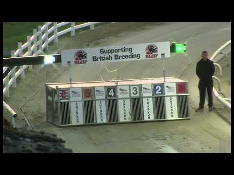 Westwell Diego - The Blunsdon Maiden Standard Dup