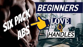 BEGINNERS LOVE HANDLES | BEGINNER 6 PACK ABS(V-CUT AB)