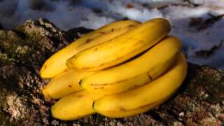 Video Banana Blues by Blueshaman (Live II)