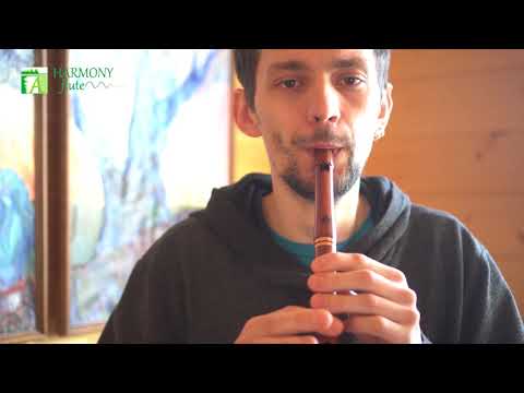 HarmonyFlute - Whistle C# ashwood and rosewood