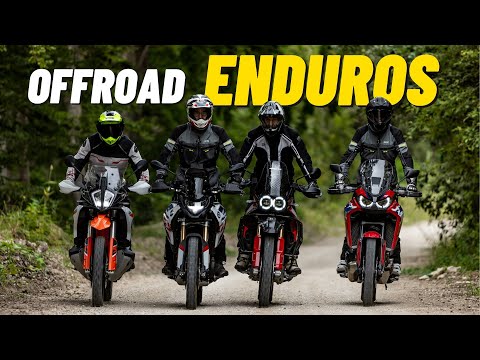 Abenteuer-Enduro-Vergleich 2024: BMW vs. Ducati vs. Honda vs. KTM im Off- und Onroad-Check