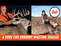 Video Thumbnail for Episode 95 // Everything You Want To Know About Chronic Wasting Disease