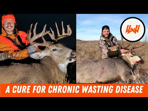 Episode 95 // Everything You Want To Know About Chronic Wasting Disease