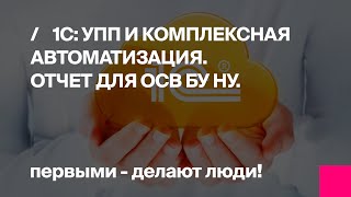 Демонстрация отчета ОСВ БУ НУ для 1С: УПП и Комплексная автоматизация