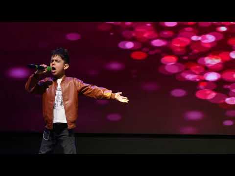 David Stefan Chelaru  Show Must Go On