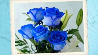 Quiero ser feliz Los temerarios