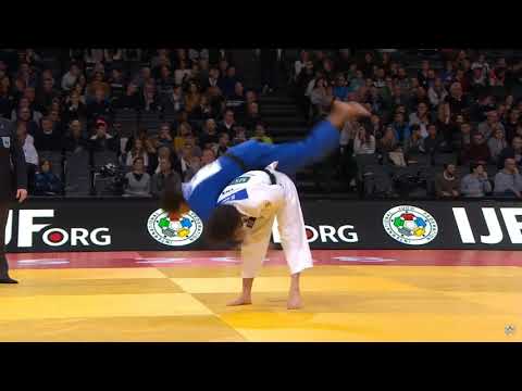 Sode-Tsurikomi-Goshi Compilation — judo technique demonstration