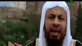 صورة محمد موسى الشريف | شخصيات اندلسية | الشاطبي