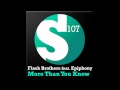 Flash Brothers Feat Epiphony -- More Than You ...