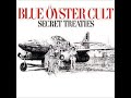 Blue Oyster Cult   Subhuman with Lyrics in Description
