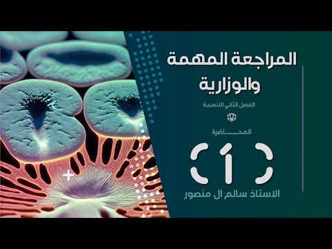 المراجعة فصل الثاني المحاضرة 1