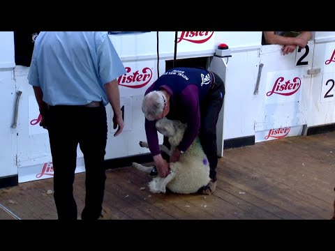 Hen Law Cneifio (61+) Ffeinal | Veterans (61+) Final