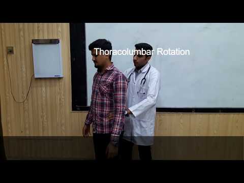 Musculoskeletal System examination || GALS