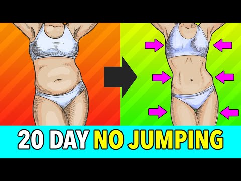 20-Day Full Body No Jumping Fat Burn Workout Program