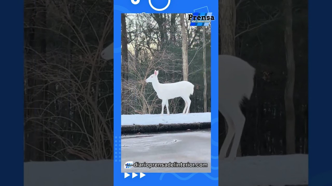 SUCEDIÓ EN CAROLINA DEL NORTE