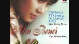 Download lagu anie carera - aku benci mp3