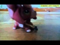 клип Lps дин дон прятки 