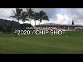 Madison 2020 Chipping 