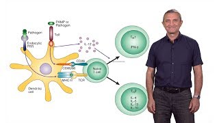 Ruslan Medzhitov (Yale / HHMI): The Role of Toll-Like Receptors in the Control of Adaptive Immunity