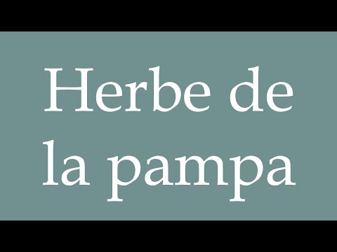How to Pronounce ''Herbe de la pampa'' (Pampas grass) Correctly in French