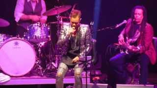 Skunk Anansie - Infidelity (Only You). 04.03.2014 in Bielefeld, Germany