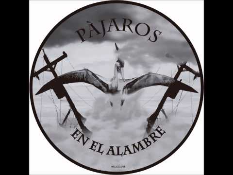 Estereotipo valeverguismo