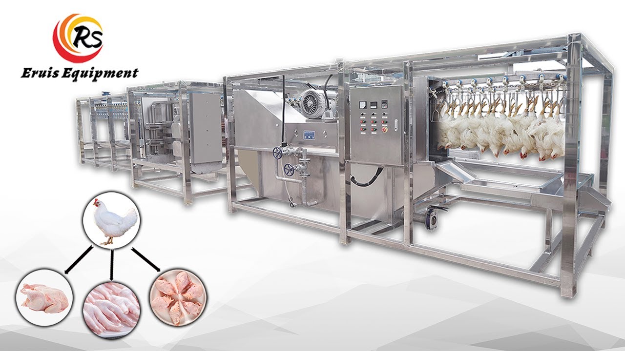 Maximize Your Efficiency and Profits with Our Mobile Chicken Slaughter Line without Installation