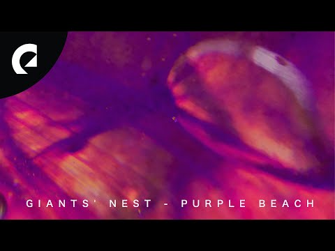 Giants' Nest - Purple Beach (Royalty Free Music)