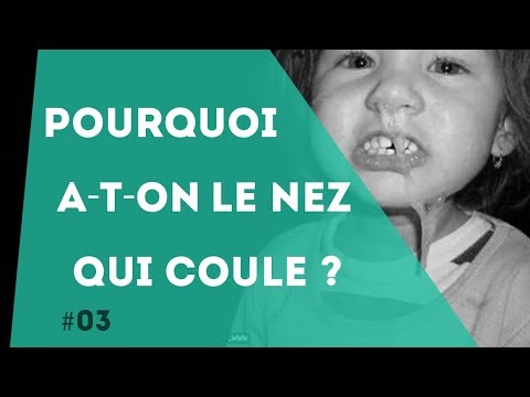 PNN 3 - Pourquoi a-t-on le nez qui coule quand il fait froid ?