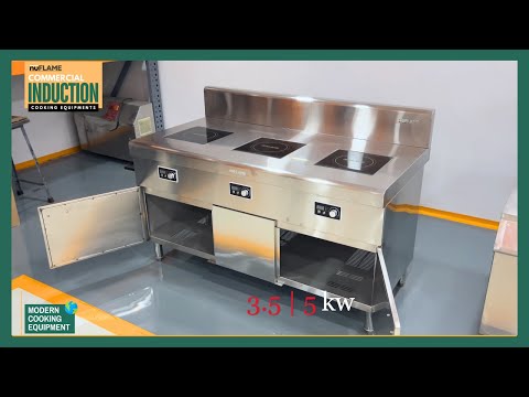 Commercial Induction Cooker